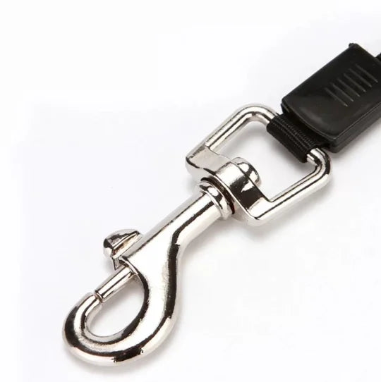 Coleira Guia Retrátil Para Pets